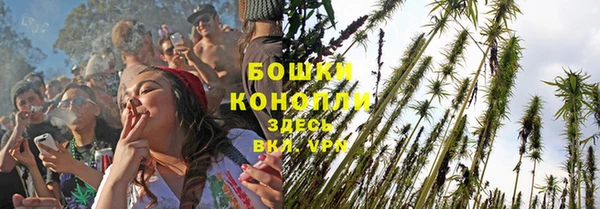 МДПВ Дмитровск