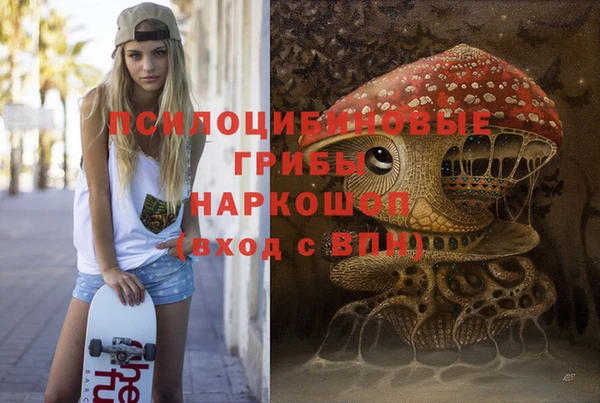 индика Абдулино