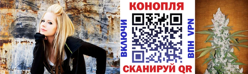 Бошки Шишки конопля  Ессентукская 